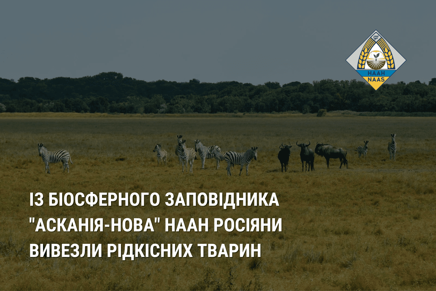 Із біосферного заповідника "Асканія-Нова" НААН росіяни вивезли рідкісних тварин